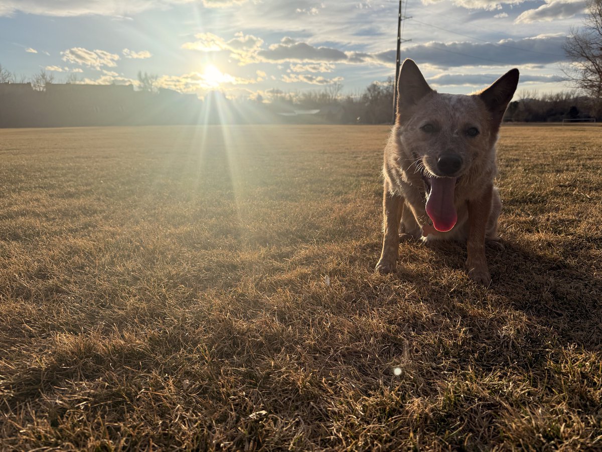 LysergicBliss🫧 tweet media