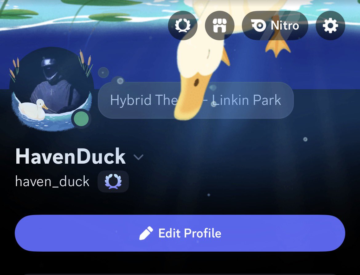 OMICRON-HAVEN tweet media