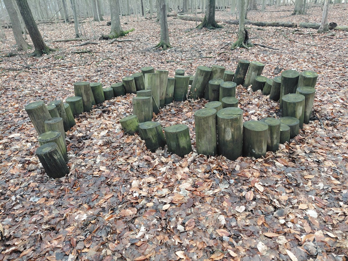 Naomi's Adventures tweet media