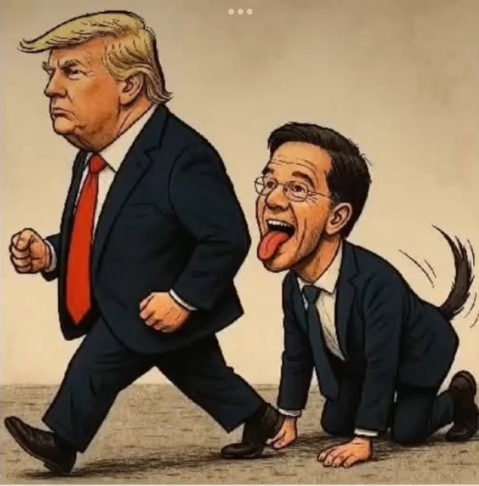 The Nightly Observer tweet media