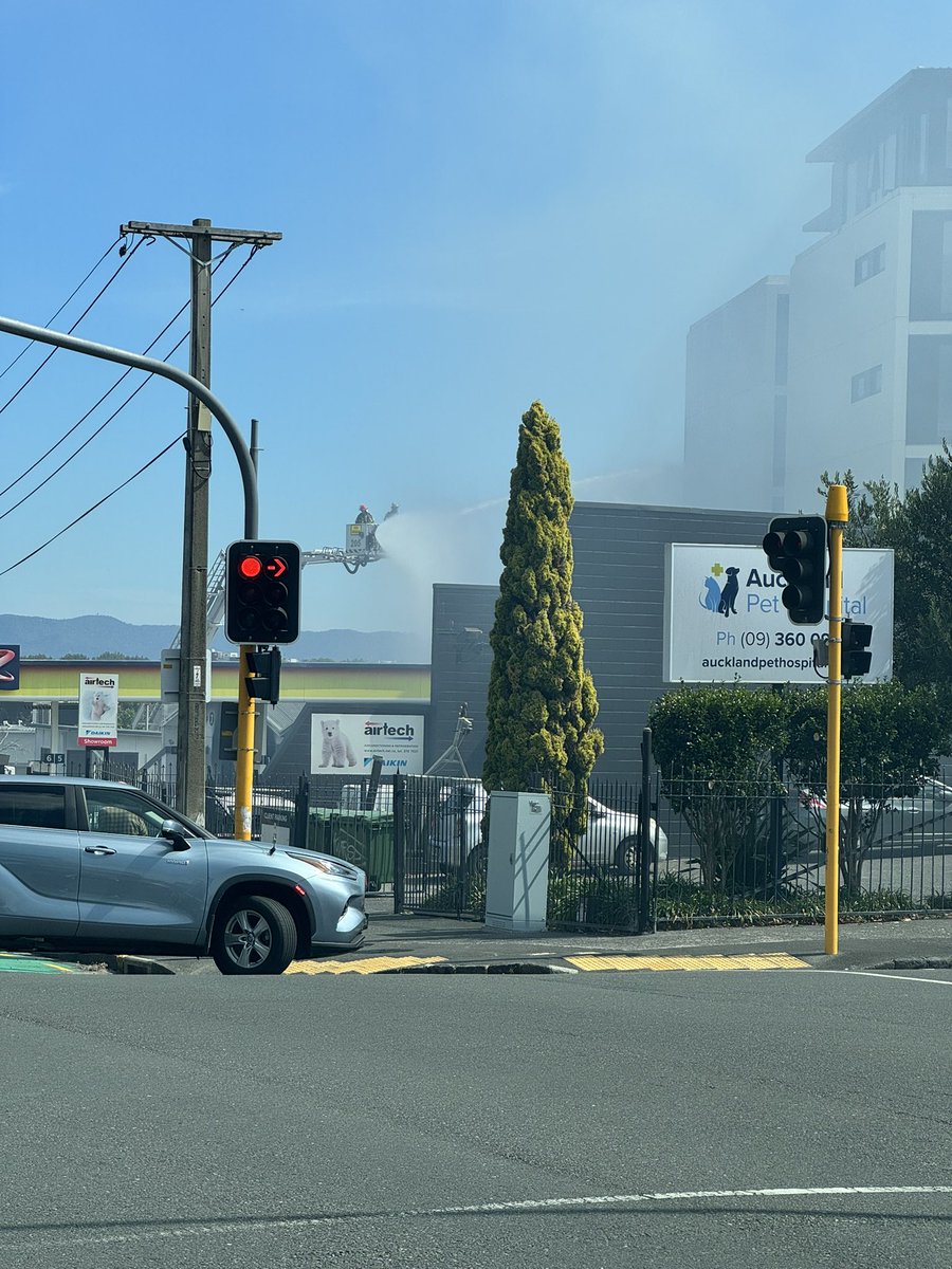 Conan Gorbey tweet media