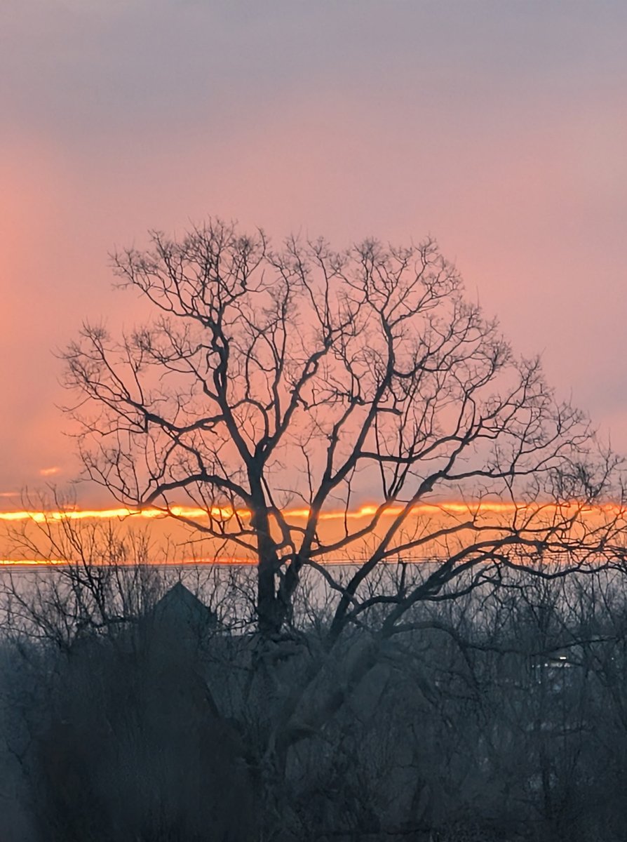 PolkCo.Line tweet media