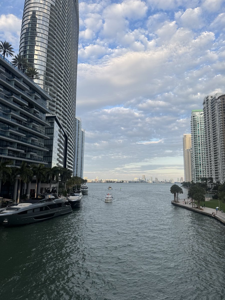 feenthebean's tweet photo. 24 hours in miami 🤍 https://t.co/6ny5zAukWl