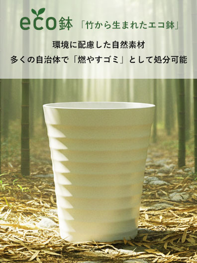bayside_flower's tweet photo. 今売れている胡蝶蘭をご紹介💐

【エコ鉢】胡蝶蘭大輪(白) 3本立 雅（みやび）
上品な白が印象的。エコ鉢で廃棄も簡単、贈り先の負担も軽減。
開業・移転・就任祝いにおすすめ✨
https://t.co/tcDKpLipU5

税込：29,700円
※2026年3月時点の価格です。 https://t.co/ZLKA6dAP1R