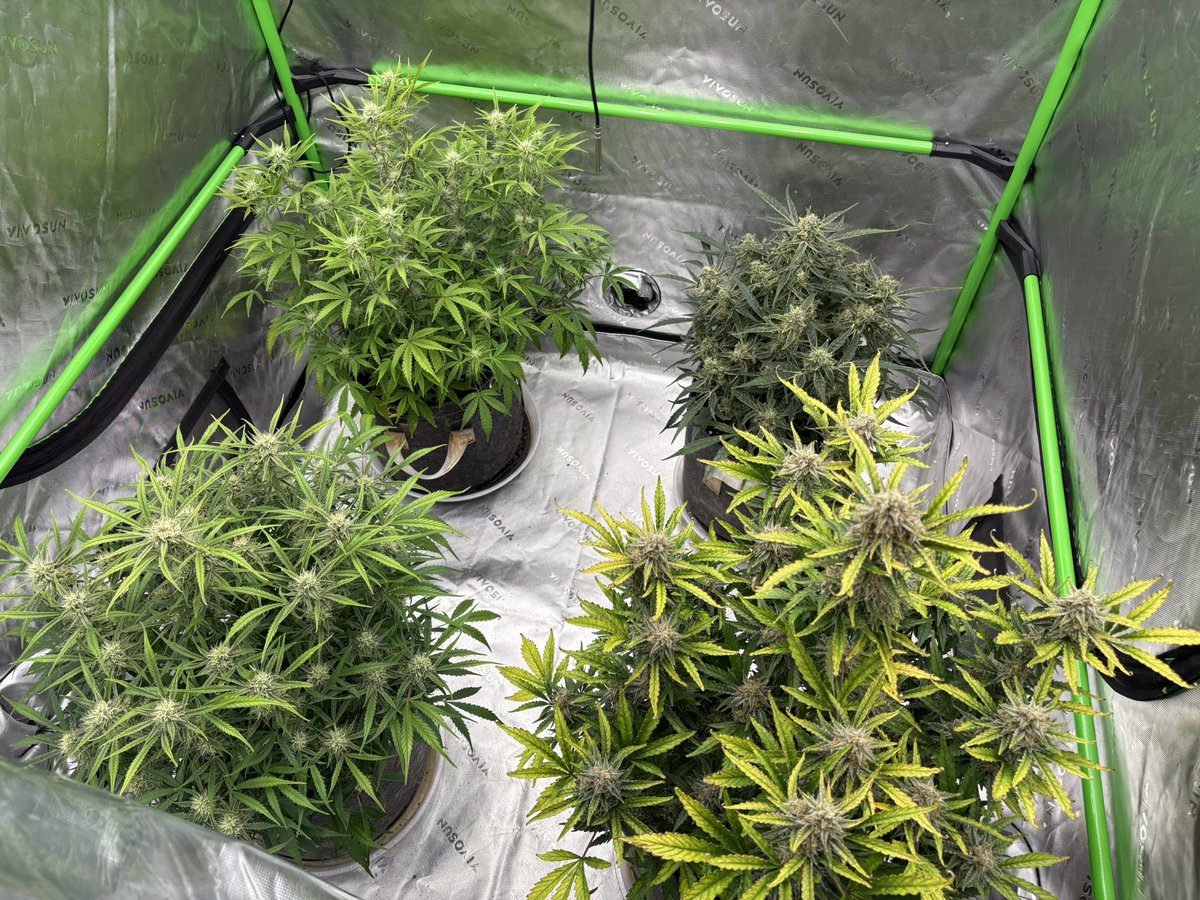 Ohio Grows Organic tweet media