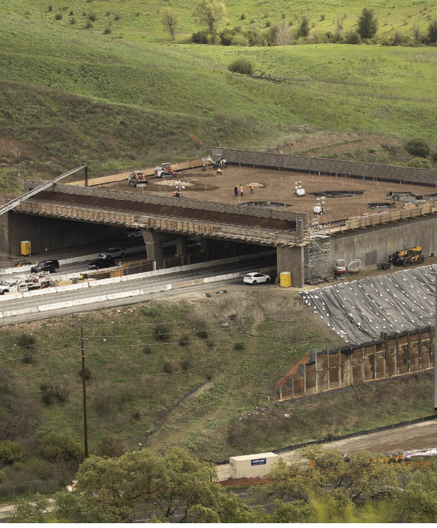 Christopher F. Rufo ⚔️ tweet media