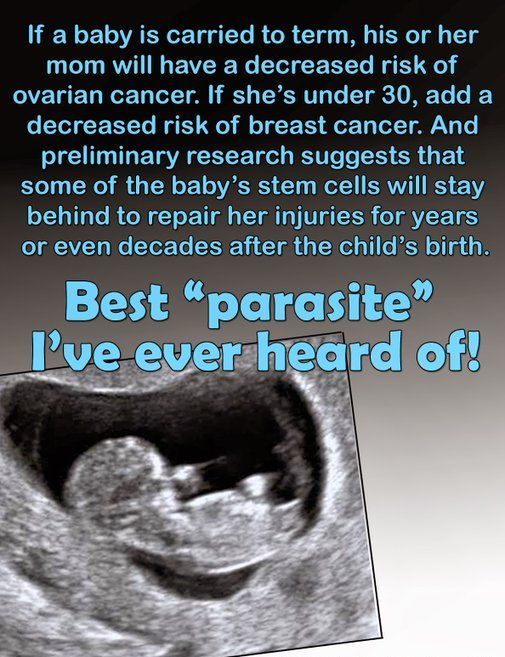 LifeNews.com tweet media