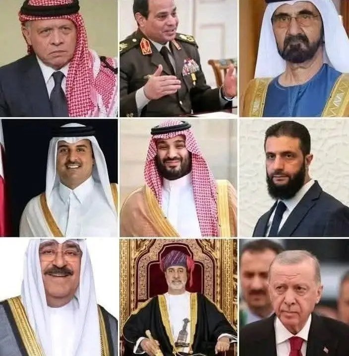 ALIZA🇵🇰 tweet media