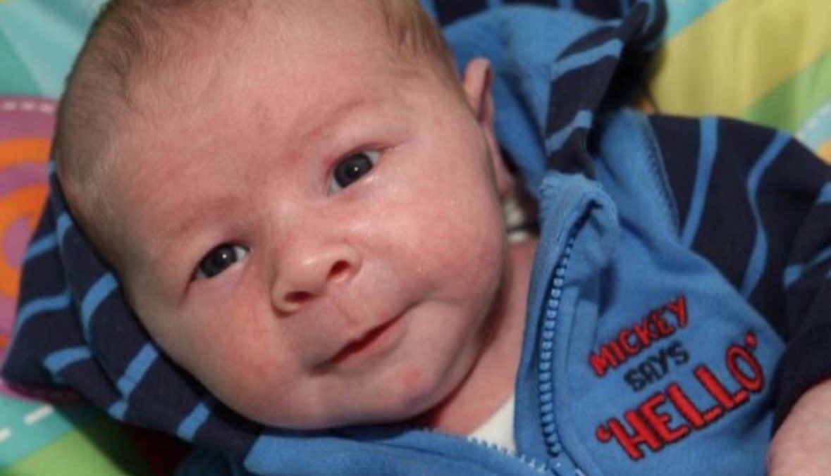 Anna Lulis tweet media