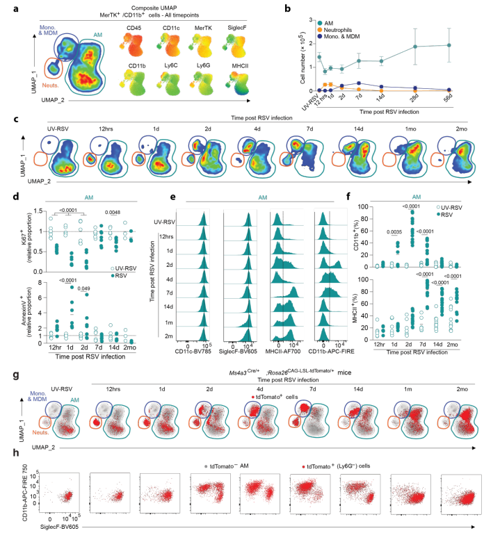 Waggoner Lab tweet media