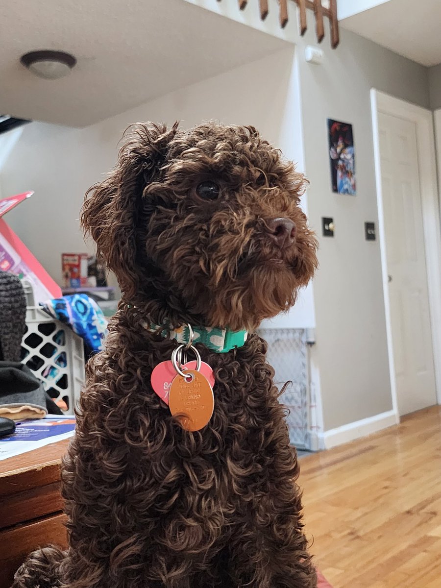 Aqua Teen Whimsy Force🪐✨ tweet media