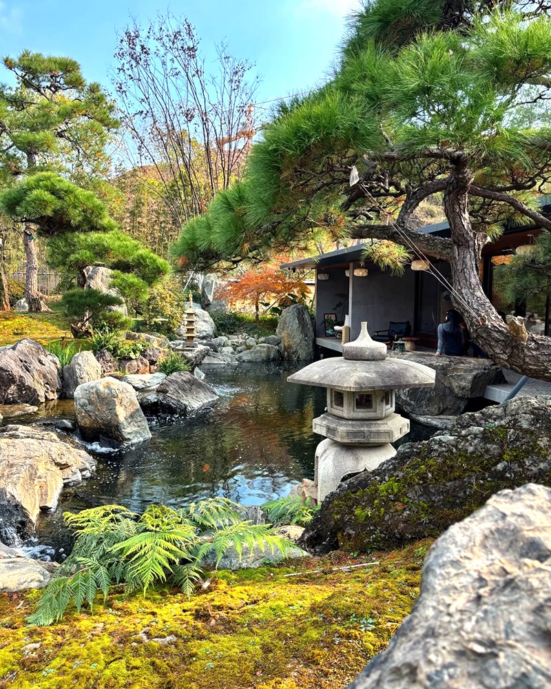 Yuzukimatcha's tweet photo. A quiet moment in a Japanese garden,
where time slows down and the mind softens. 🍃

A bowl of matcha, a breath of calm—
this is your daily ritual of peace.

#Matcha #Japanesematcha
#Matchapowder #MatchaMoment  #ZenLife #JapaneseGarden  #MatchaRitual #MindfulLiving  #SlowLiving https://t.co/eYyF7YZflw