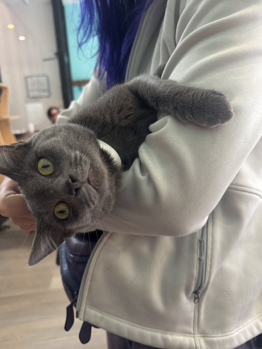 BIG Billie Starkz • ビリー・スタークス tweet media