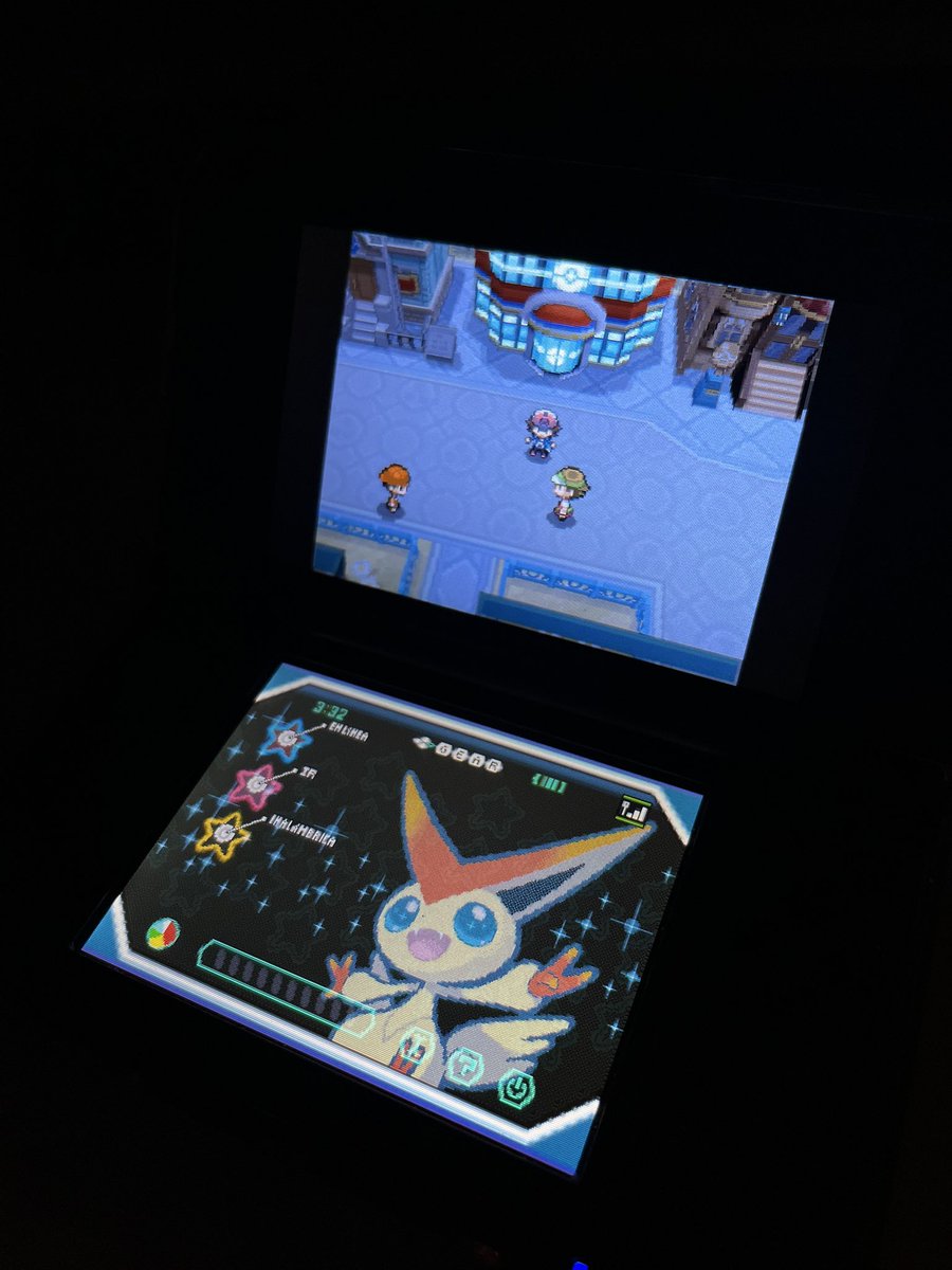 archie 🐻 tweet media