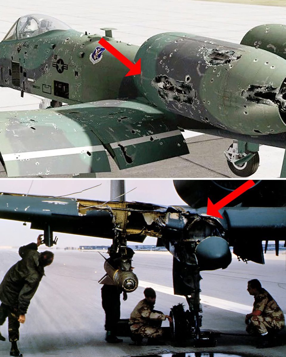 A Gene Robinson tweet media