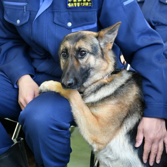 คนนี้จะไหวไหมเนี่ย ดูไม่พร้อมทำงานเลย 😆 หรือหนูเป็นโรคกลัววันจันทร์