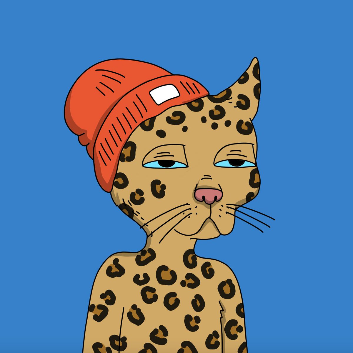 Bunny Bala tweet media