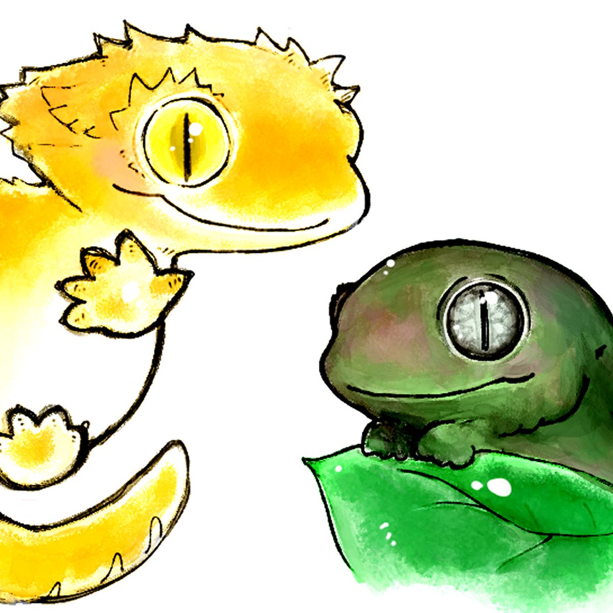 はいどあんどしーく.🎃エキゾ&えさやさん tweet media