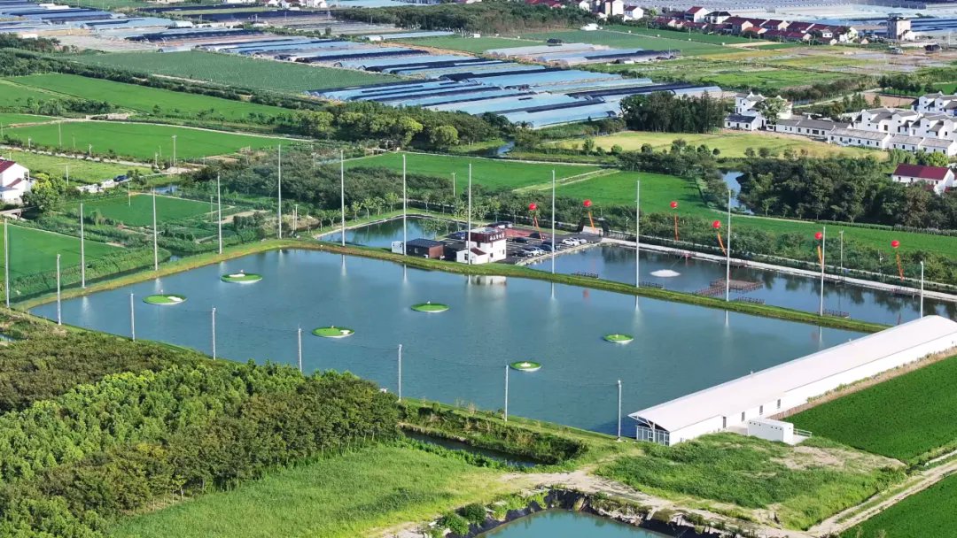 Fish pond by morning, golf course by afternoon.
Feiyun Island flipped a working waterfront into a full sports destination — floating greens on the lake, pickleball, tennis, and farm-to-table food that actually earns the name. Spring out here just hits different.