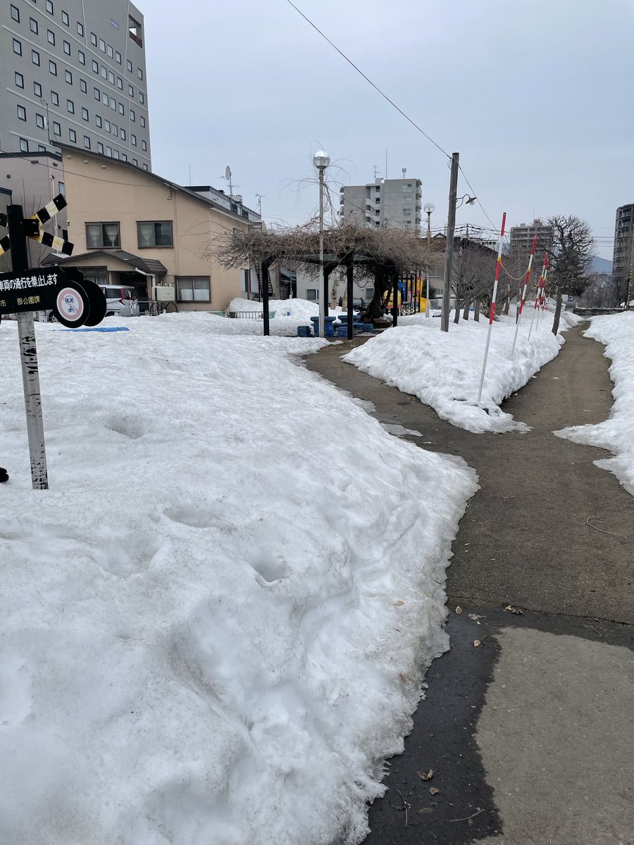 三遊亭志う歌 tweet media