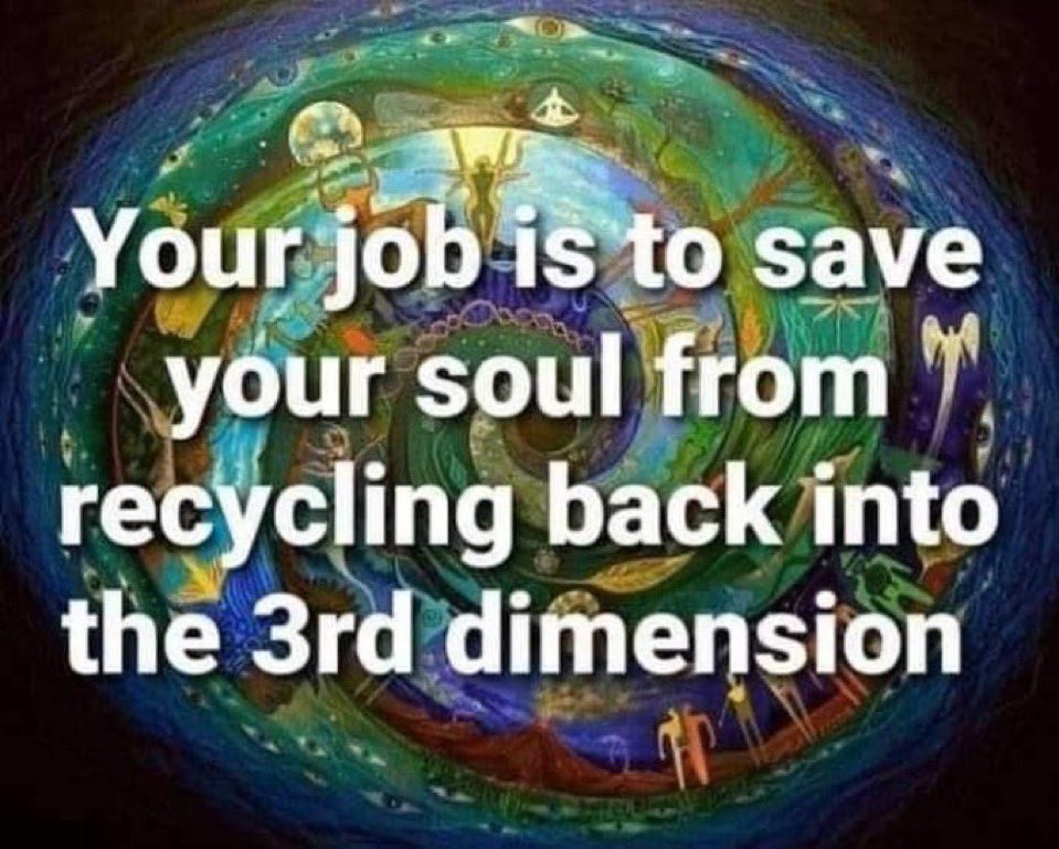 🧬Maxpein🧬 tweet media