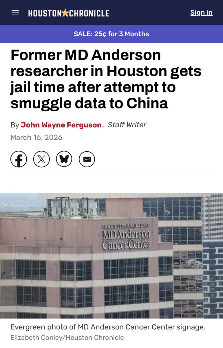 LT 視界 tweet media