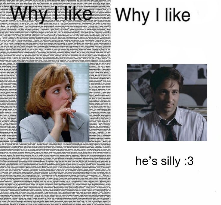 THE X FILES AESTHETICS tweet media