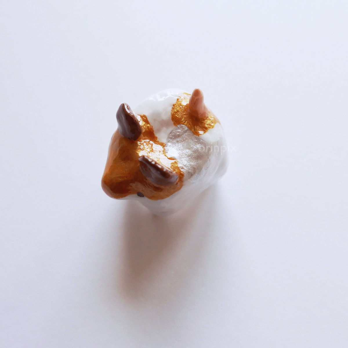 orinpix👩 & めいちゃん🐹 tweet media