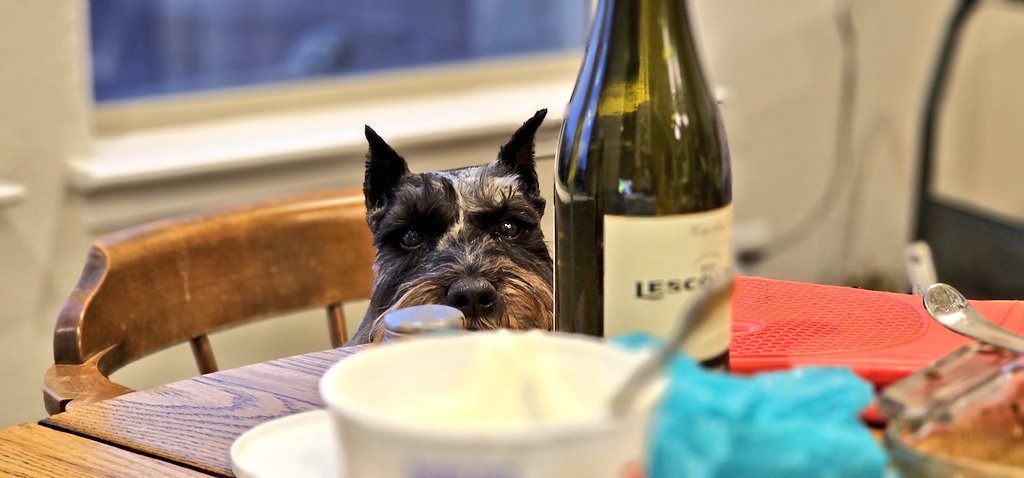 Chuck Webster MD, MS AI, MS Systems Engineering tweet media