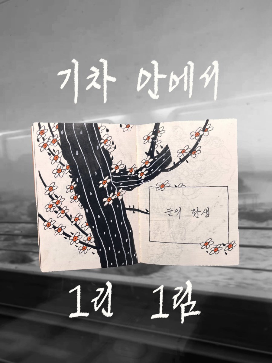 송연조 tweet media