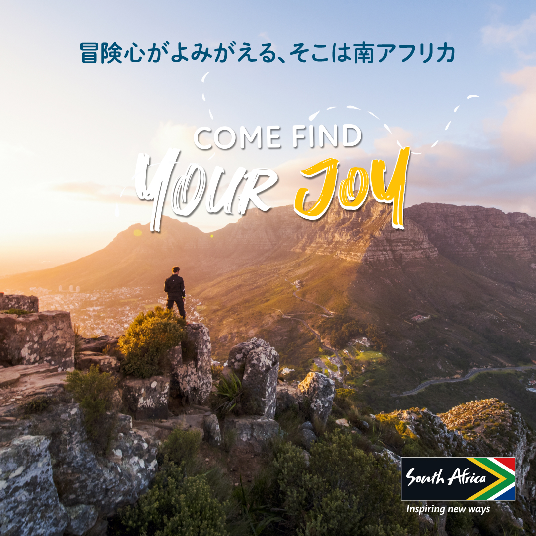 南アフリカ観光局 tweet media