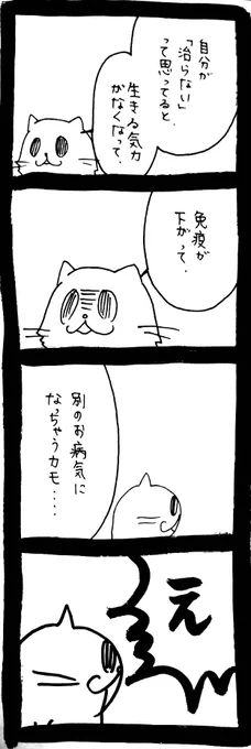 ドワーフキャットタオルちゃん45 