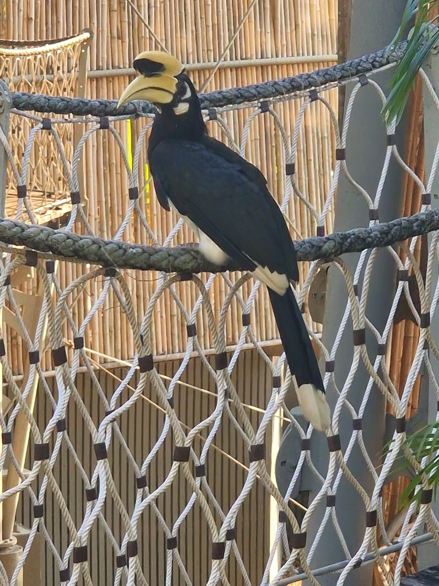 Chouette💙 tweet media