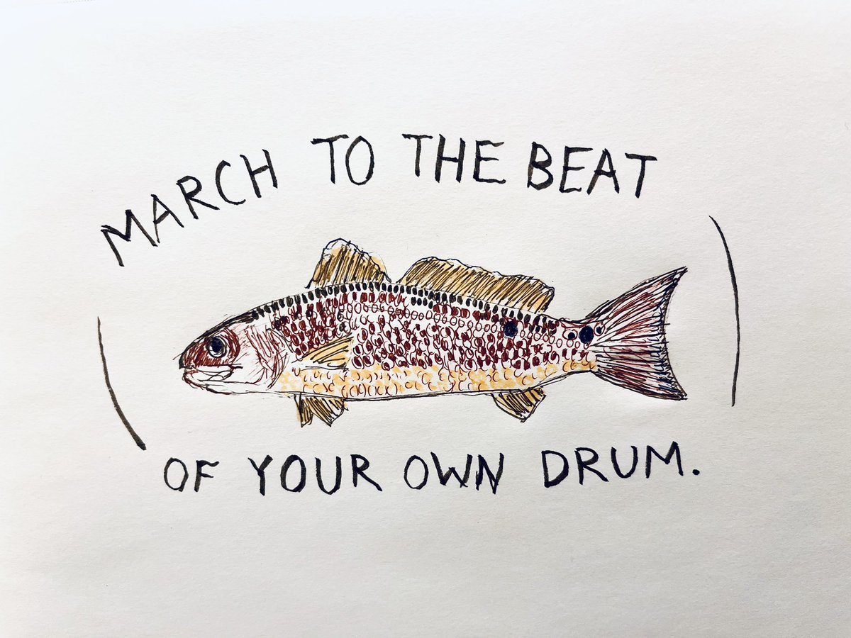 Sam Tackeff 👋 tweet media