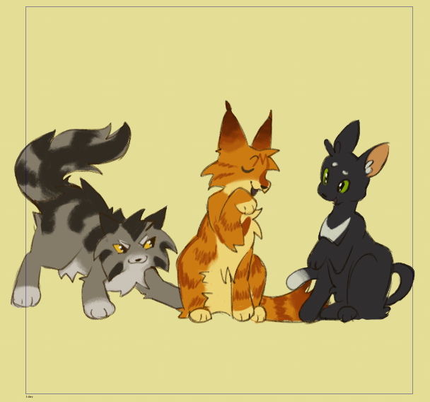 cat 🏴☠️⚔ tweet media