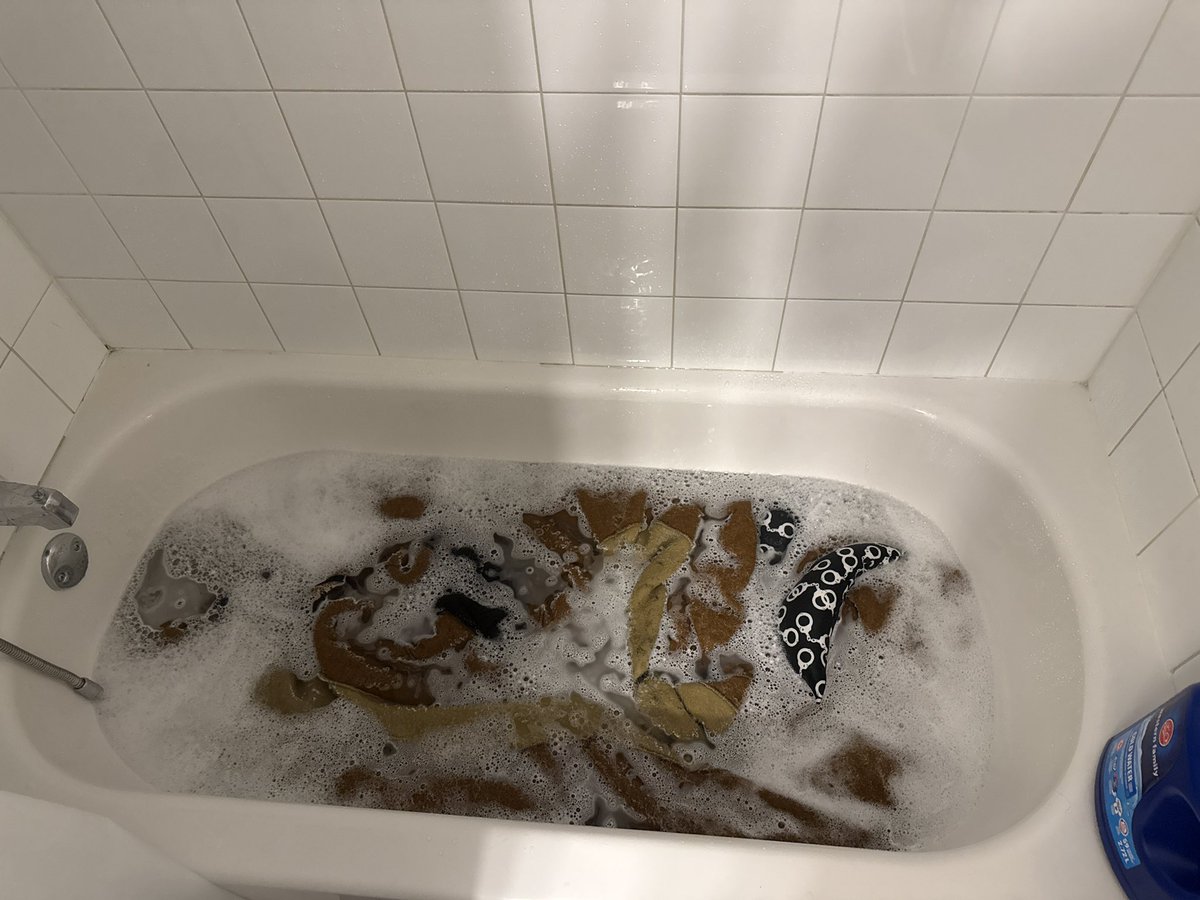 bsky: @sparxwuff.com tweet media