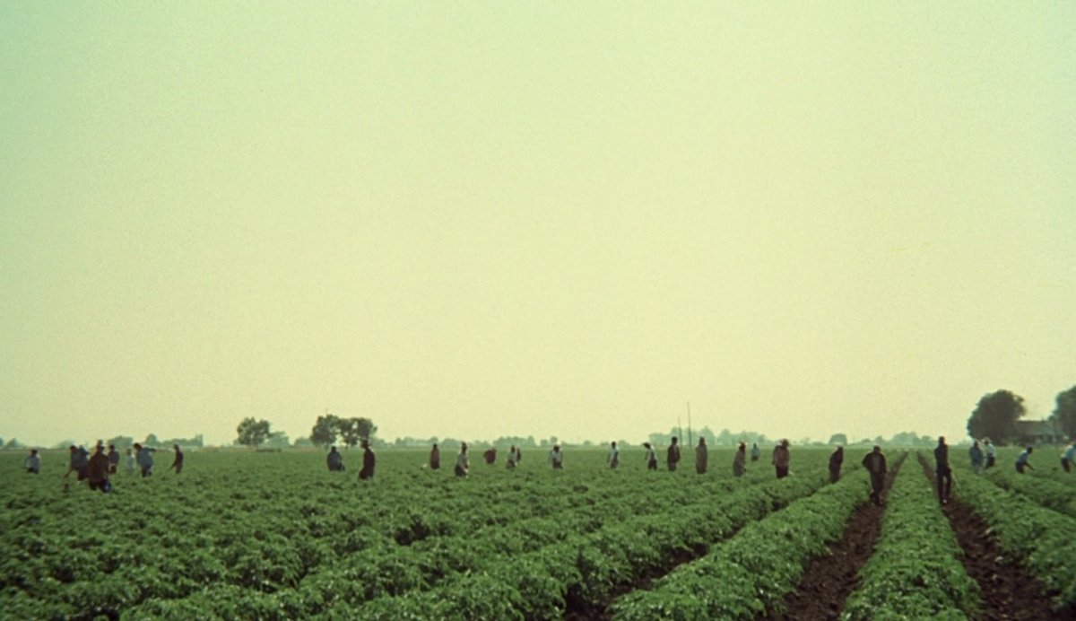 𝒮𝒶𝓈𝒽𝒶 tweet media