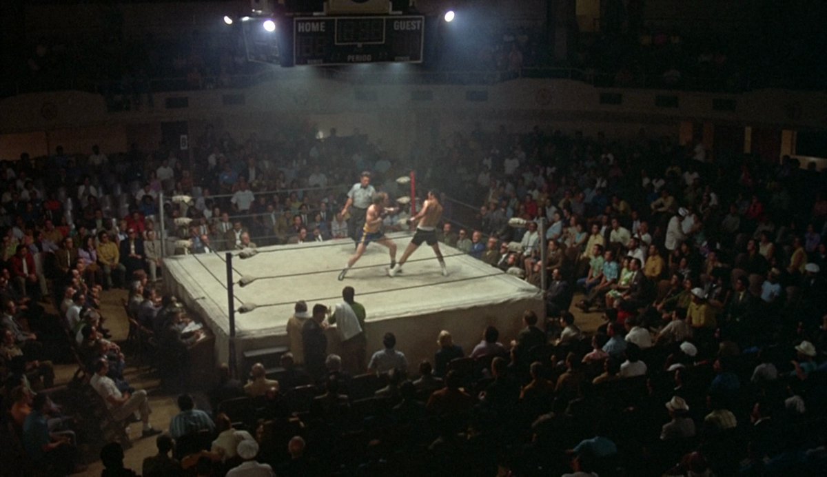 𝒮𝒶𝓈𝒽𝒶 tweet media