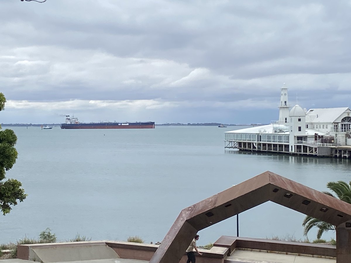 Pivotonian of Geelong 🇦🇺 tweet media