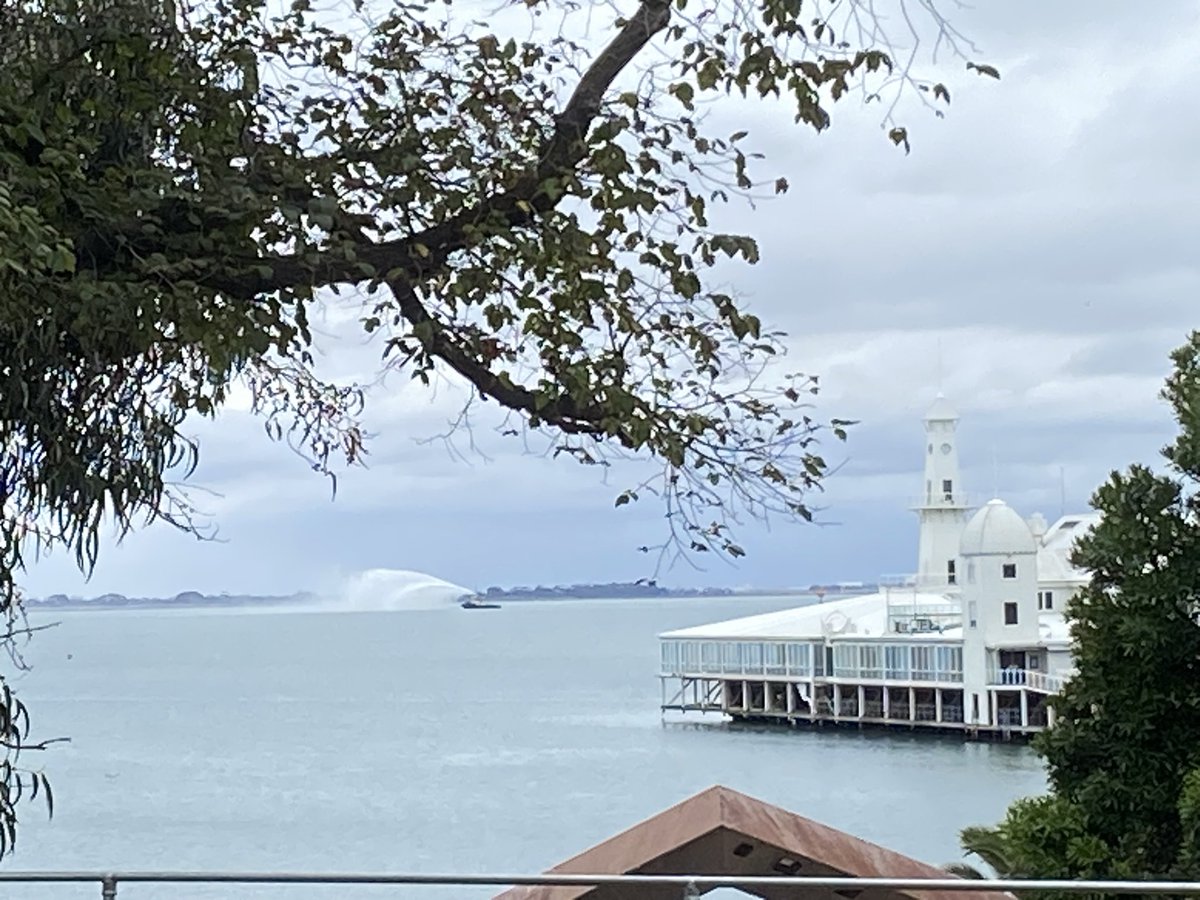 Pivotonian of Geelong 🇦🇺 tweet media