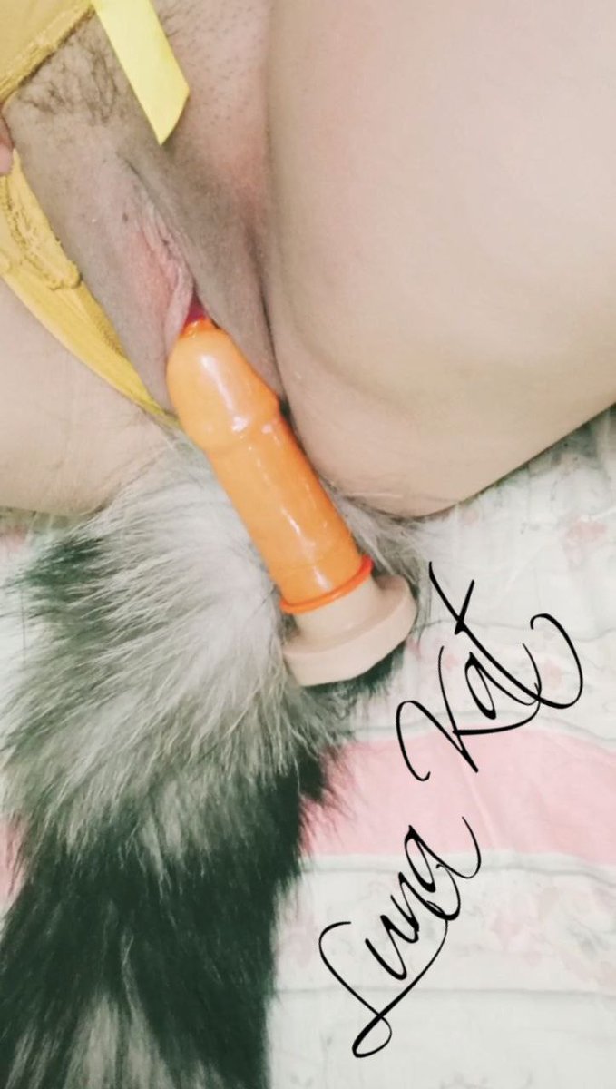 Lunita respaldó tweet media