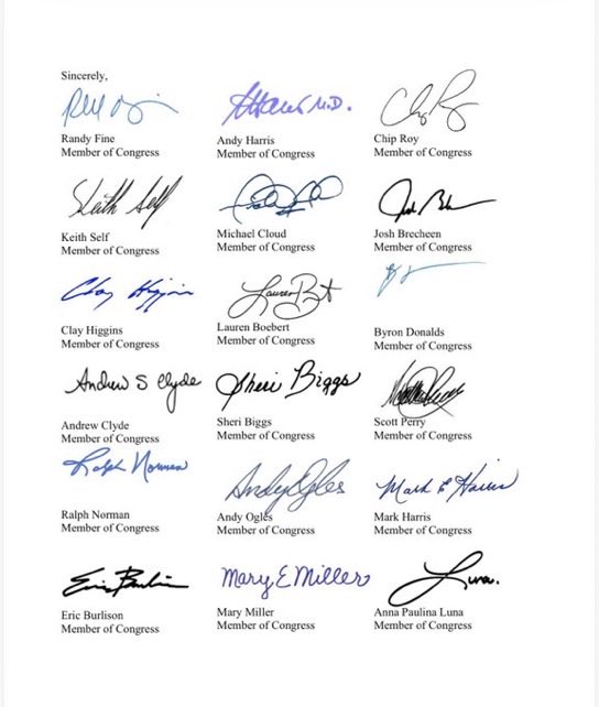 MAGA Voice tweet media