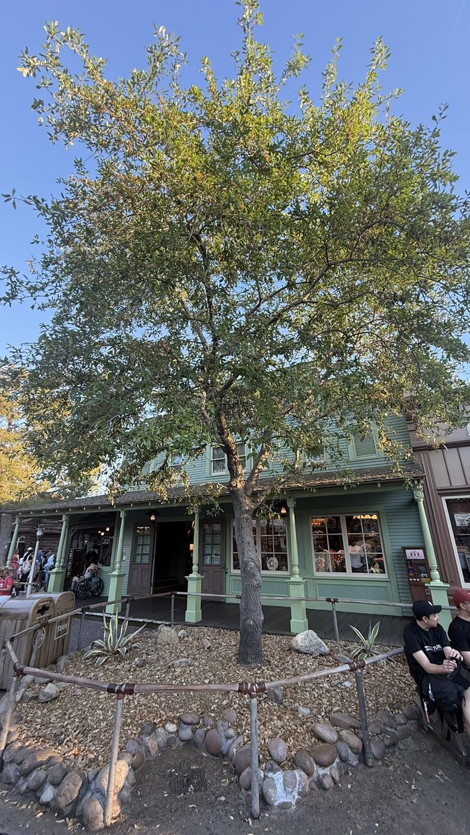 Parks And Cons tweet media