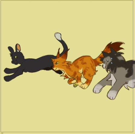 cat 🏴☠️⚔ tweet media