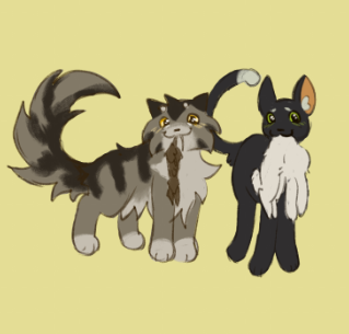 cat 🏴☠️⚔ tweet media