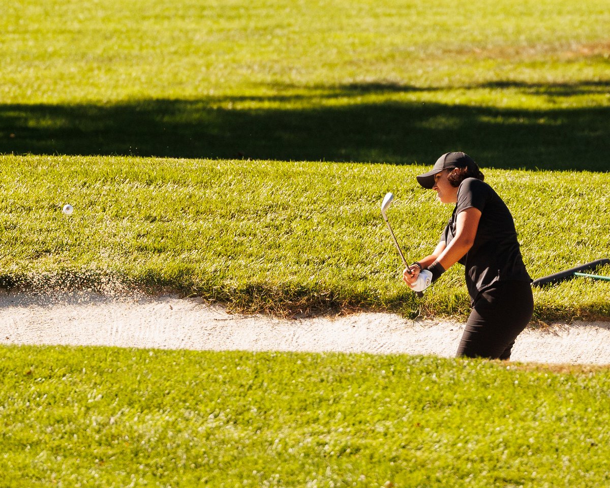 MoWest Athletics tweet media