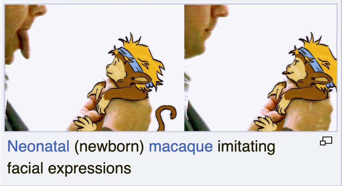 fish 🍀 tweet media