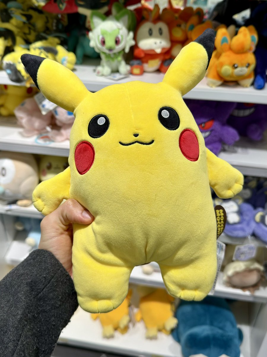 Rodrigo Falco tweet media