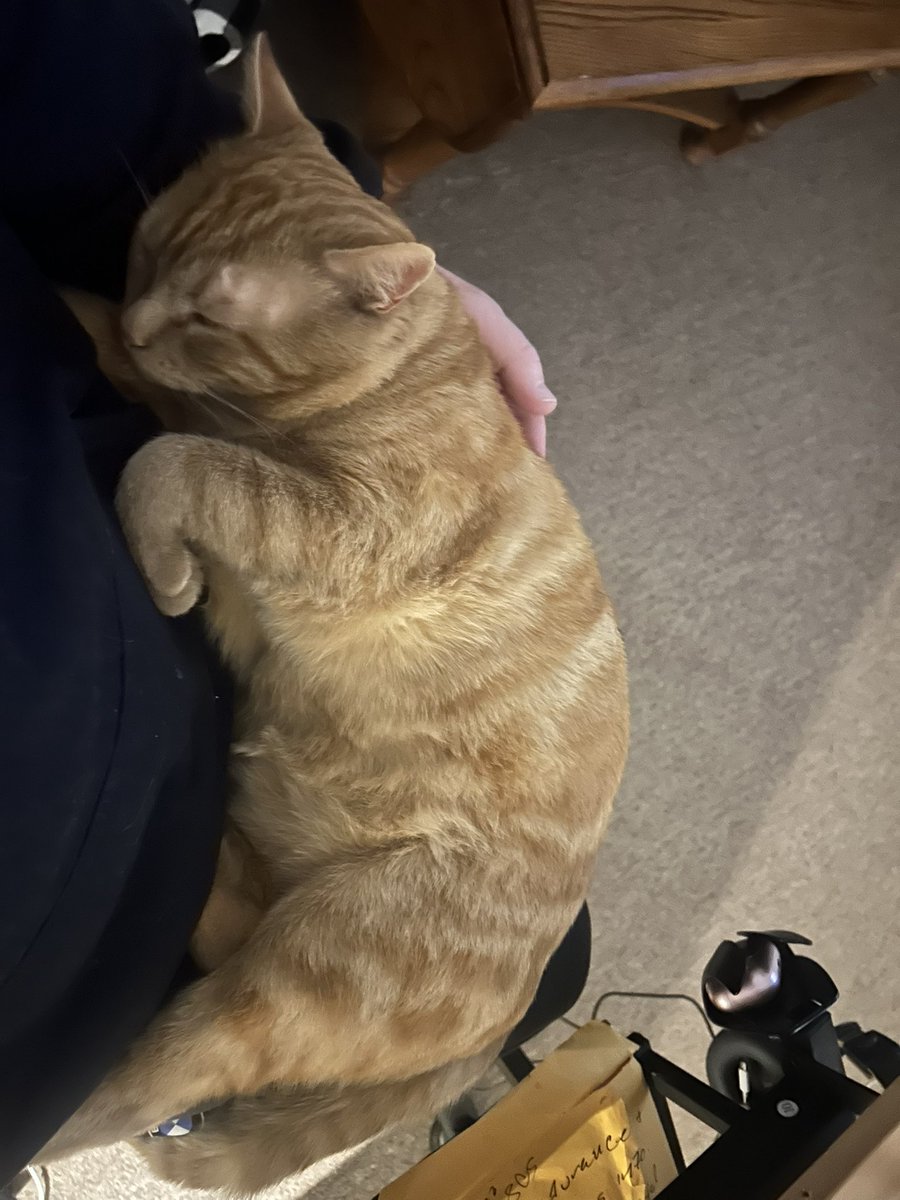 Robert Cosgrove tweet media