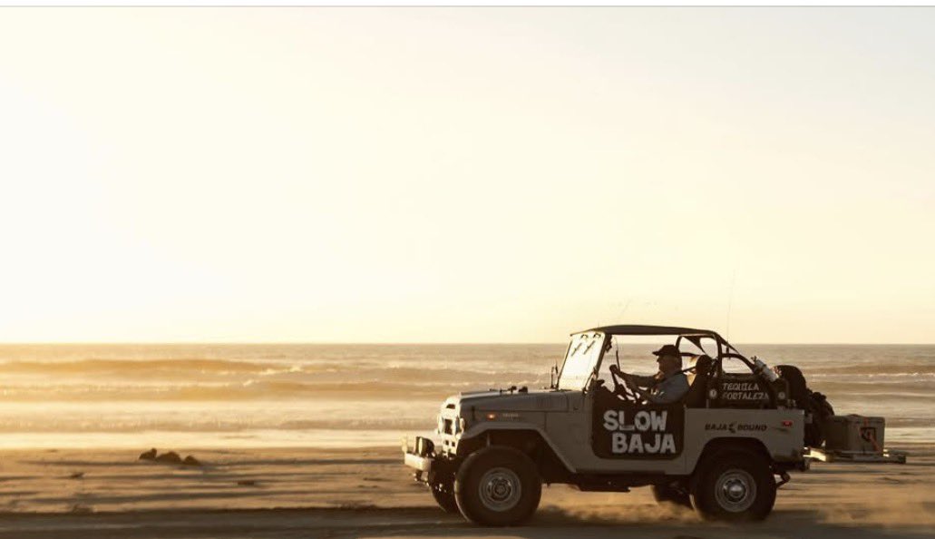 Baja Visitor tweet media